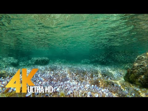 וִידֵאוֹ: מהו הזמן הטוב ביותר להירגע על הים האדריאטי