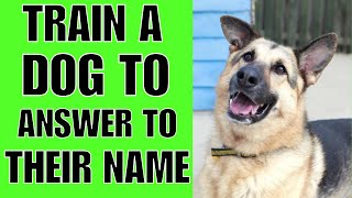 How To TRAIN A Dog To Answer To His Name (SIMPLE)