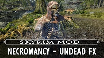 Skyrim Mod Feature: Necromancy - Undead FX