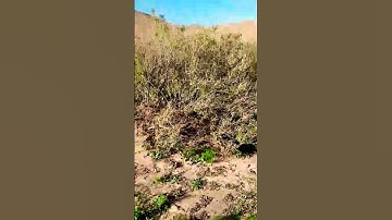 201* ما تيسر من سورة البقرة بصوت القارئ المغربي# إلياس حجري #
