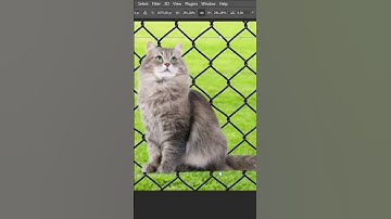 Exclusive Photoshop Trick - Blend If | Design Tricks & Solutions #short  #sorts