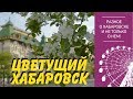 Цветущий Хабаровск