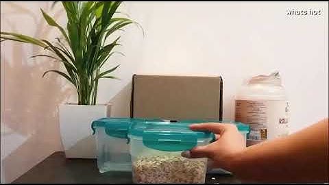 AmazonBasics Food Storage Containers , 0.8 Litres, Set of 3, Multicolor