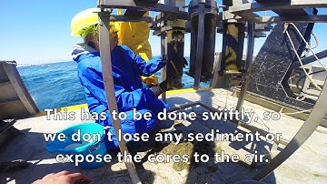 Sediment deoxygenation time-lapse video
