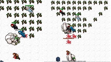 Yetis in Folda (Solera 2005 7.4)