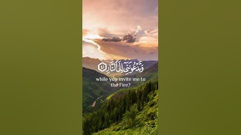 من قوله تعالى: {وَيَا قَوْمِ مَا لِي أَدْعُوكُمْ إِلَى النَّجَاةِ} ..... القارئ : هشام المقدشي