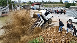 Teamwork in Action Bulldozer & Dump Truck Fill the Land with Stone & Soil​ ​In a large pond