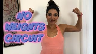 Fit Mom No Weight Arms Circuit Buzzchomp Fitness