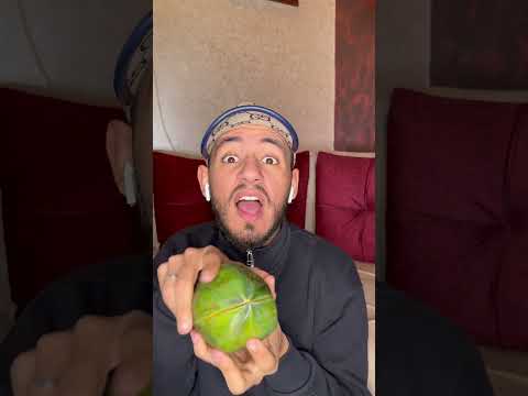 فاكهة البابايا  جزائري     الجزائر ضحك