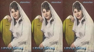 Leyla ERTAŞ - ADANA YOLLARINDA Resimi