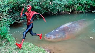 Thumbnail for Homem Aranha e o Monstro Peixe Aranha (Histórias de SUPER HERÓIS )