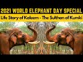 Life Story of Kaleem Elephant - Part 1 | கலீம் யானையின் வாழ்க்கை வரலாறு-பாகம் 1 |Kumki/கும்கி Series