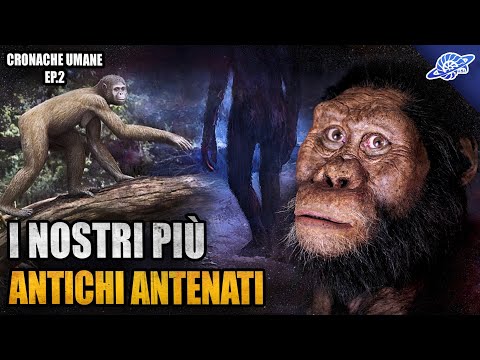 Video: In che modo lo spostamento dell'obiettivo differisce dalla distorsione dell'obiettivo?