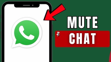How to Mute Someone on WhatsApp: WhatsApp Guide