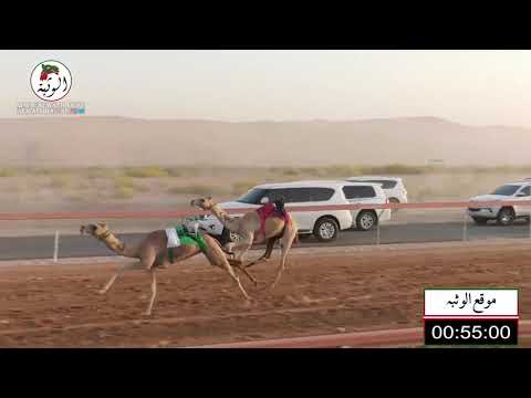 الشوط 9 الشاهنية ل مطوع سيف مطوع شمال الظاهري 2 13 شارة الصندوق 2021 5 21 ابوسمره فطامين