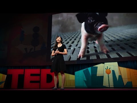 How to create a world where no one dies waiting for a transplant | Luhan Yang