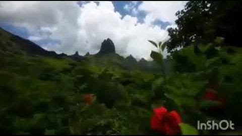 سوره الانعام من الايه ٦٣ الى الايه٦٧ بصوت الشيخ بندر بليله