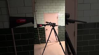Savage model 64 fv sr 22 LR long term quick review for varminting