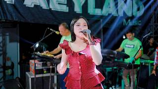 Download lagu PAEYLAND MUSIC - TEMAN BIASA - KURNIA RAHMA - HAPPY PARTY PUTRA GAMBIR - RAHTAWU