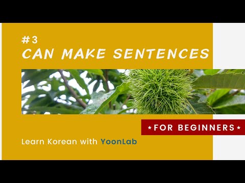 Korean Grammar #3 | Making Sentences N은 N-이에요