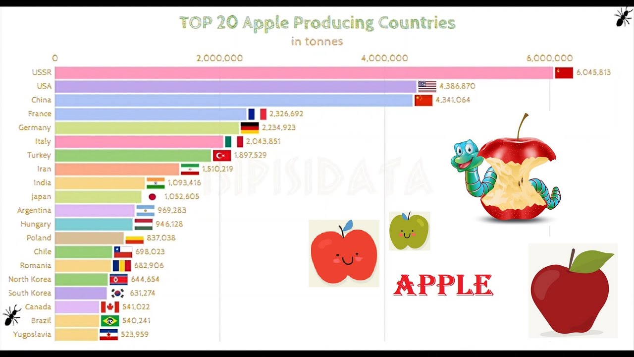 TOP 20 Apple Producing Countries YouTube