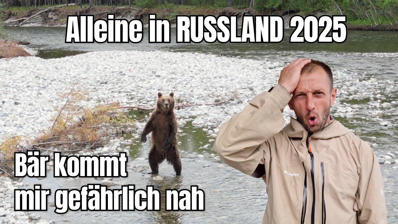 RUSSLAND | Bär kommt mir gefährlich nah