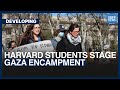 Harvard students stage gaza encampment  dawn news english