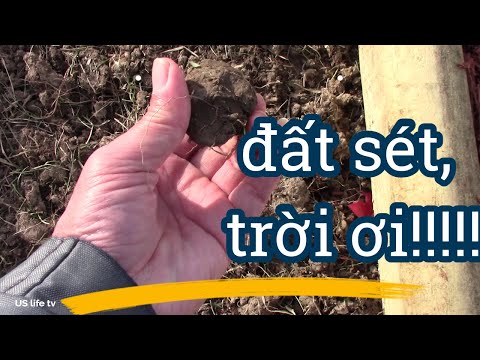 Video: Đất sét có thoát nước tốt không?