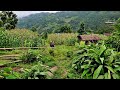 Most Beautiful Nepali Mountain Village || Daily Farmers Life in Remote Rural Village