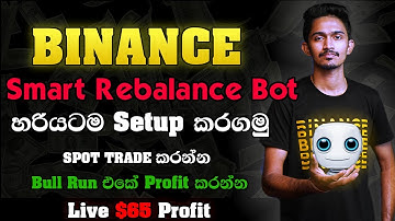 How to setup Rebalancing Bot Binance මේ කාලේ Spot කරන්න හොදම ආයෝජනය | $65 Live Profit