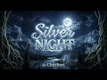 Kanye West Silver Night Original 