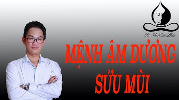 Mệnh Âm Dương Sửu Mùi | Tử Vi Nam Phái Lê Quang Lăng | Tử Vi Nam Phái Lê Quang Lăng