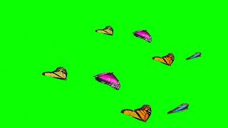 футаж бабочки - скачать футаж для монтажа на зелёном фоне