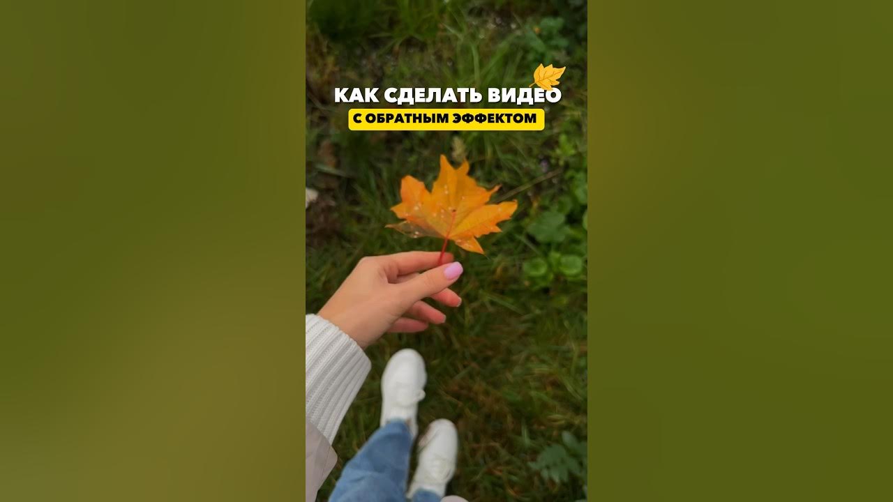 Сделать видео обратной съемкой. Сделать видео обратной съемкой
