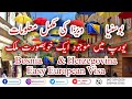Bosnia visa for Pakistanis || Bosnia and Herzegovina Visa || Easy European Visa || Babaaz Travels