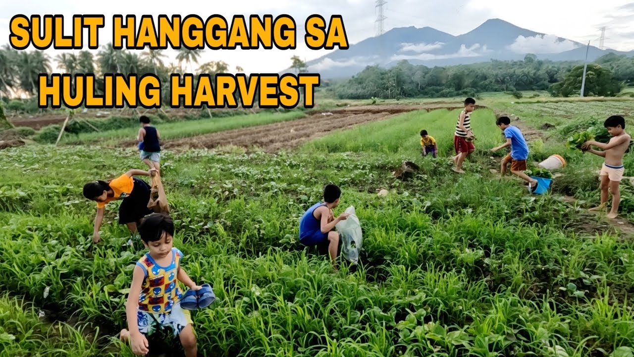 Huling Sulit hanggang SA HULING HARVEST - YouTube