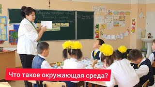 Открытый урок 4 класс ЧТО ТАКОЕ ОКРУЖАЮЩАЯ СРЕДА?