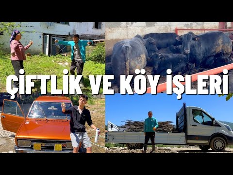 ÇİFTLİK VE KÖY İŞLERİ