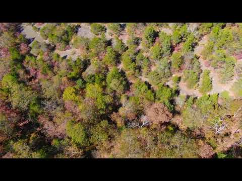 Video Drone CH19 Fall Narrated