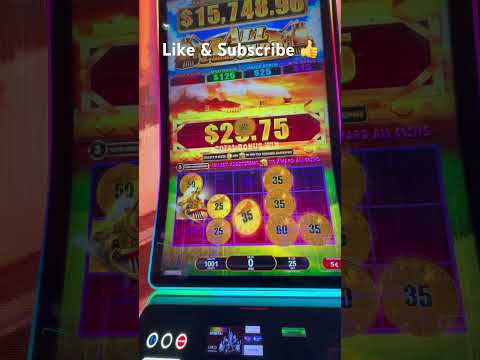 HAIR HIGHLIGHTS馃挄|HAIR CASINO UNISEX SALON| 馃挄JANAKPURI DISTRICT CENTER| 馃挄
