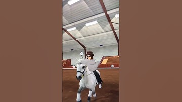 -Starter- VS -Pro- shoutout to: @lilisapphireworth !❤️(SSO edit)