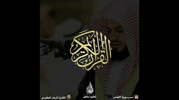 سورة القدر القارئ الرعد الكردي ♥️