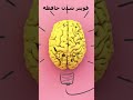 اثرات بادام بر مغز سلامتی بادام مغز Shorts اثرات بادام بر مغز سلامتی بادام مغز Shorts