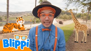 Safari divertido con Blippi 🦒🐯 Blippi Español