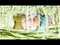 MOST VIEWED Hello Haahoos In G Major 74 MOST VIEWED Hello Haahoos In G Major 74