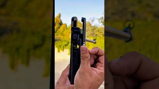 Download Lagu GAMO SHADOW 1000 AIR RIFLE  \u0026 SPINE #airgun #airgunning MP3