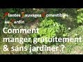 Comment manger gratuitement au jardin grâce à la Nature ?