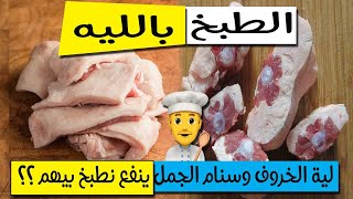 لية الخروف - سنام الجمل - هل الطبخ باللية صحي ؟؟