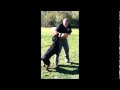 Custom Canine Unlimited | Personal Protection Dog | Personal Protection Dog Training Custom Canine Unlimited | Personal Protection Dog | Personal Protection Dog Training