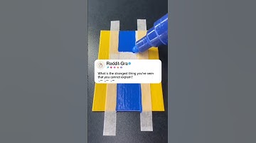 What is the strangest thing you